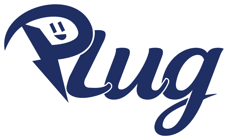 Plug